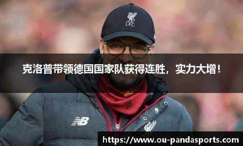 熊猫体育官网
