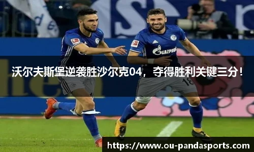 沃尔夫斯堡逆袭胜沙尔克04，夺得胜利关键三分！