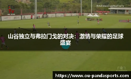山谷独立与弗拉门戈的对决：激情与荣耀的足球盛宴