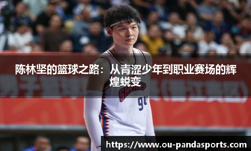 熊猫体育